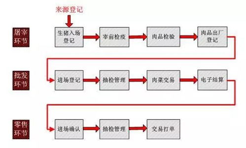 追溯,也可以成为一种艺术